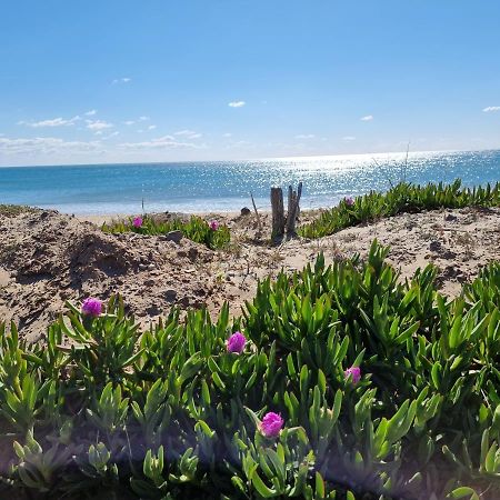 207 Cap D'Agde Naturiste Grand T2 De Standing Avec Garage Экстерьер фото